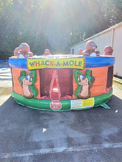 Whack-A-Mole Game (100 balls included) [$200.00}